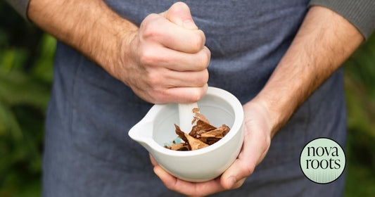 Adaptogény a vlasy: Ako pomáhajú rastu a hustote?