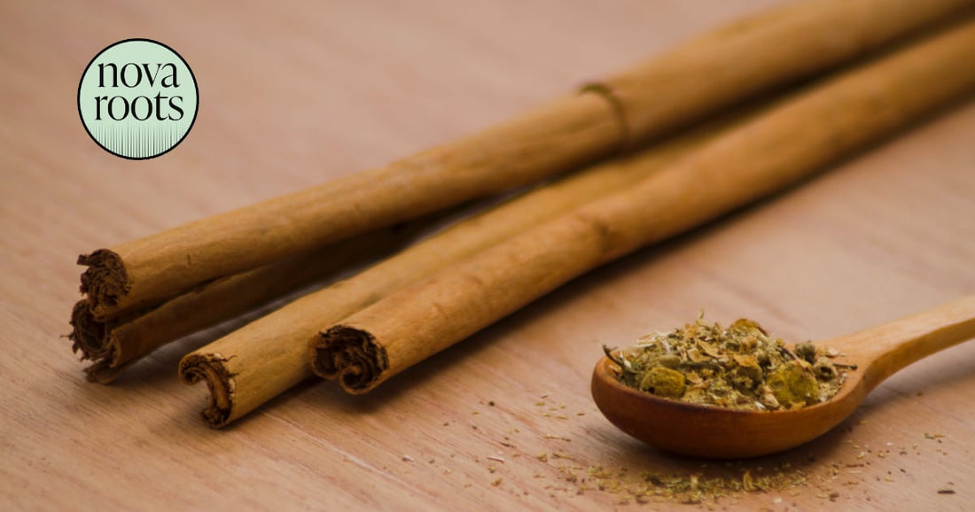 Ashwagandha a vlasy: Môže znížiť vypadávanie zo stresu?