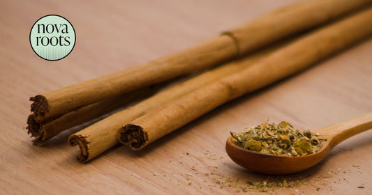 Ashwagandha a vlasy: Môže znížiť vypadávanie zo stresu?